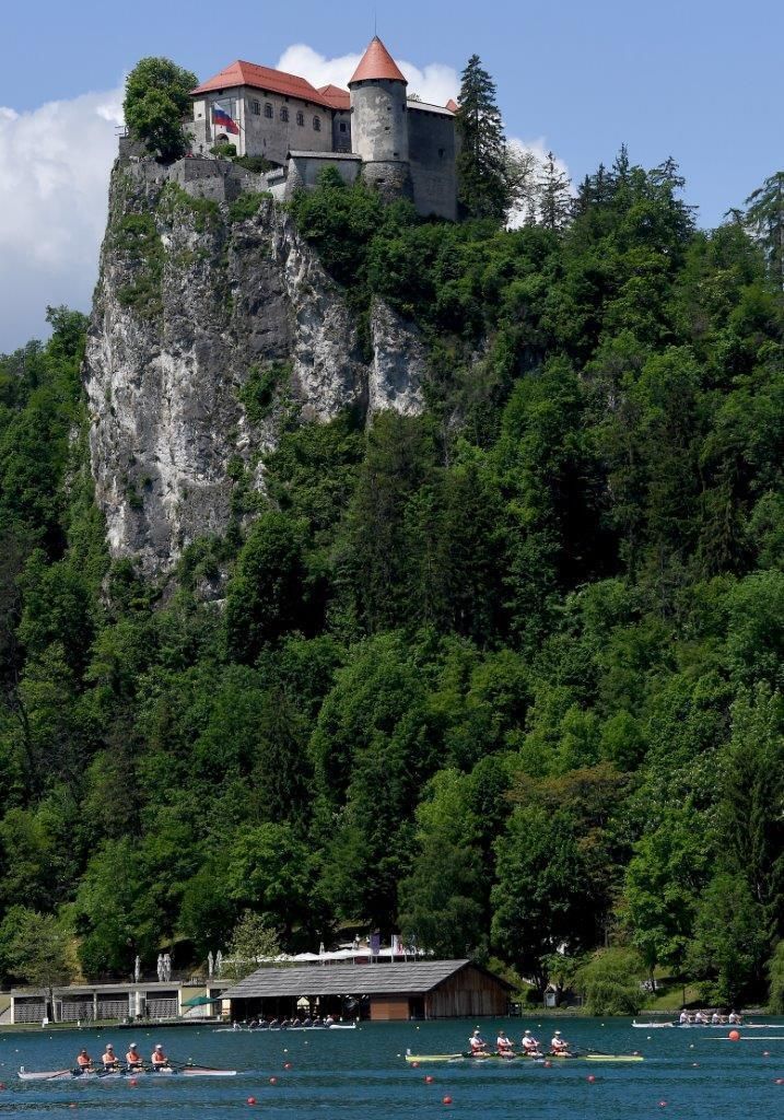 DSC_3228.jpg