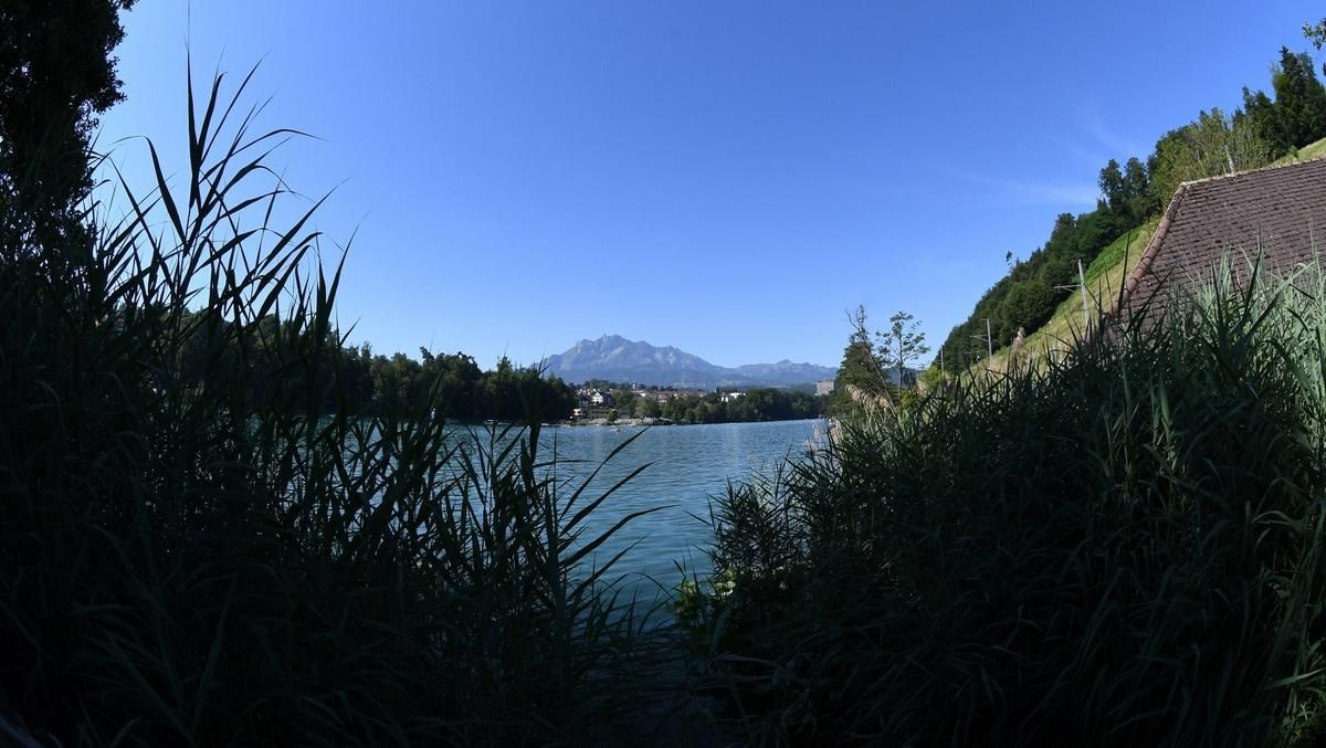 DSC_6413_1600x903.JPG