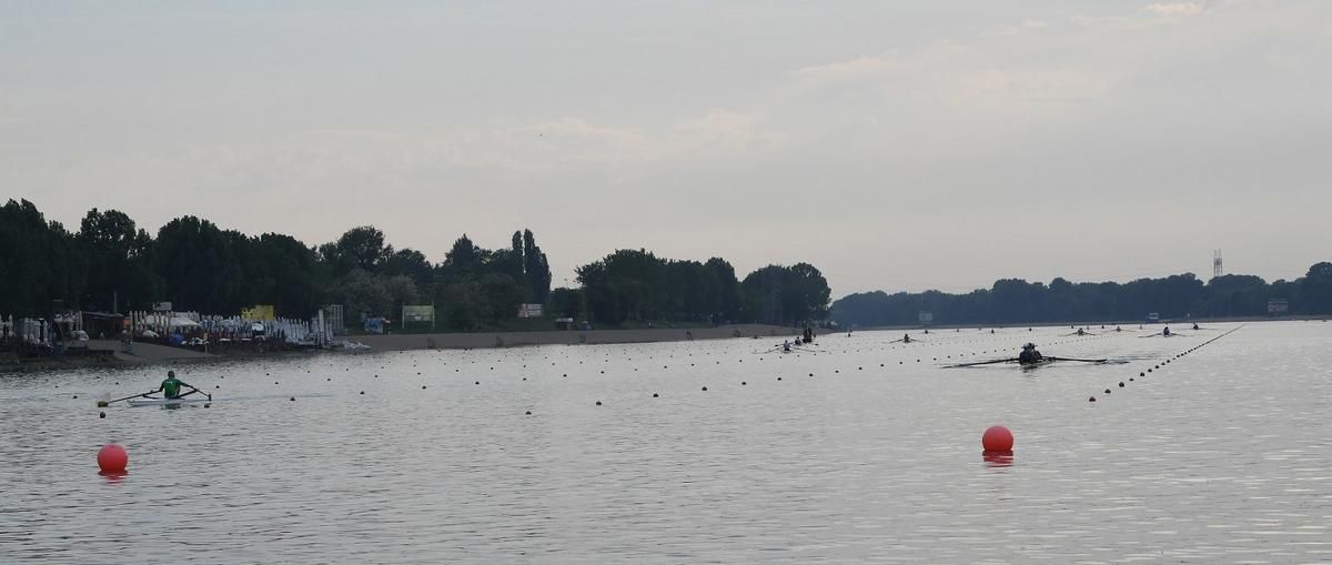 DSC_7631_1600x678.JPG